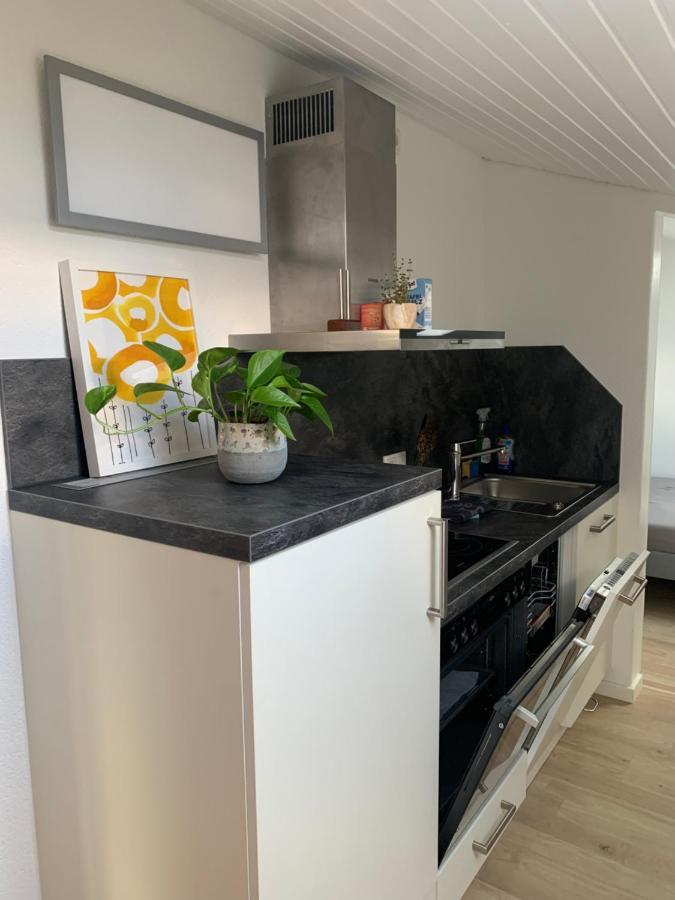 Schoene, Grosse Ferienwohnung Direkt Am Donauradweg & Keltenstadt Heuneburg 허버팅언 외부 사진