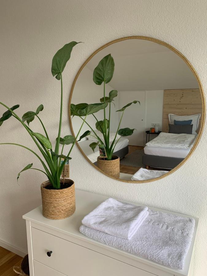 Schoene, Grosse Ferienwohnung Direkt Am Donauradweg & Keltenstadt Heuneburg 허버팅언 외부 사진
