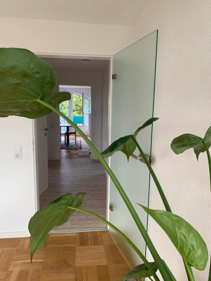 Schoene, Grosse Ferienwohnung Direkt Am Donauradweg & Keltenstadt Heuneburg 허버팅언 외부 사진