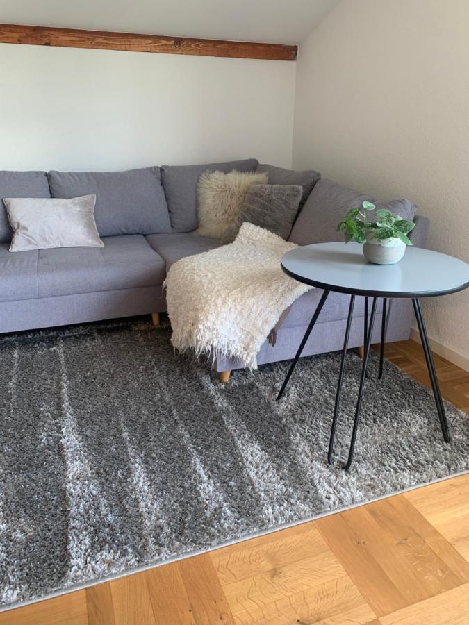 Schoene, Grosse Ferienwohnung Direkt Am Donauradweg & Keltenstadt Heuneburg 허버팅언 외부 사진