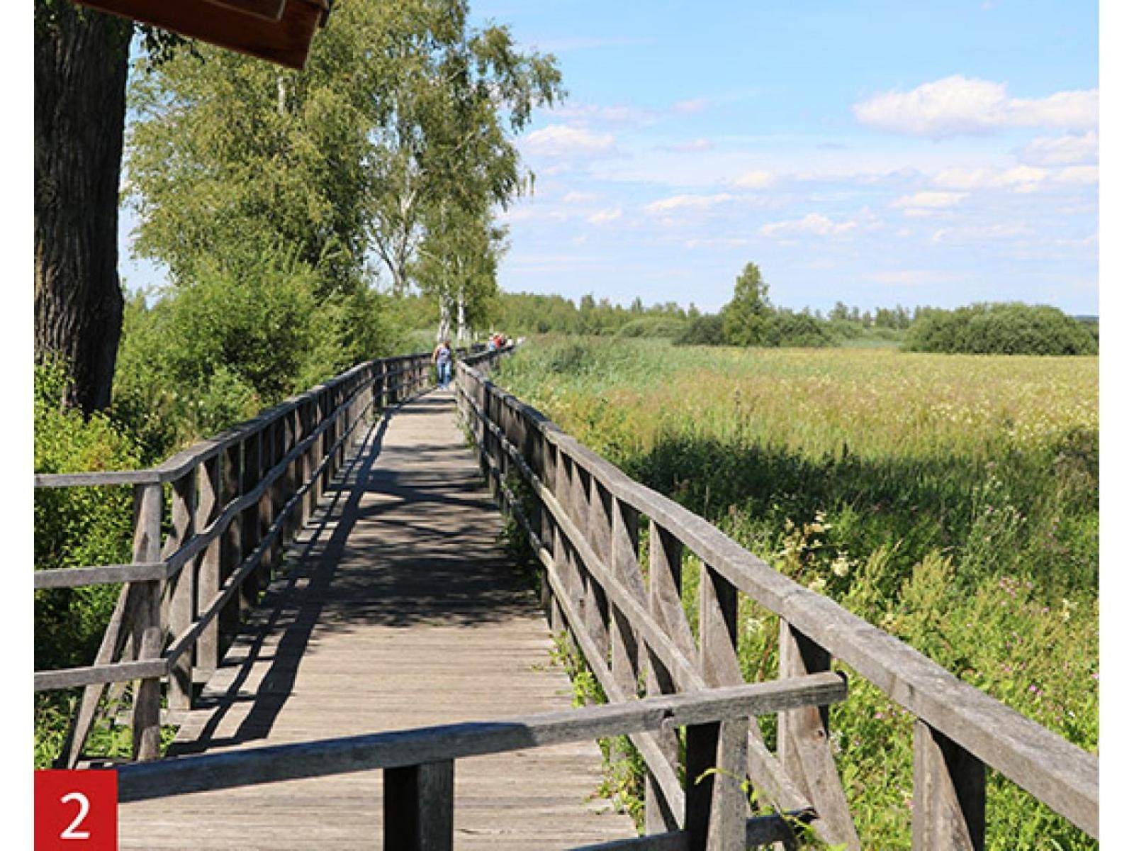 Schoene, Grosse Ferienwohnung Direkt Am Donauradweg & Keltenstadt Heuneburg 허버팅언 외부 사진